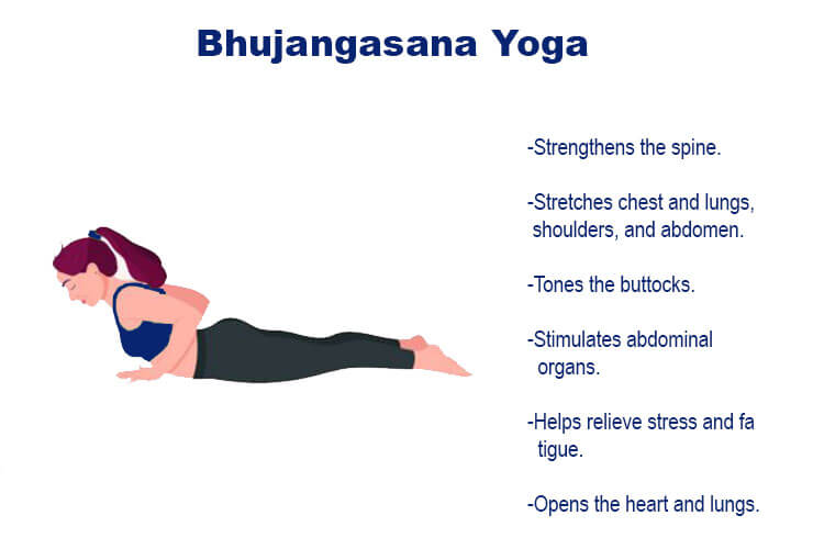 bhujangasana yoga pose
